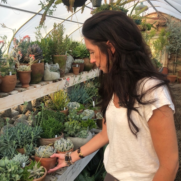 Meet your Posher, Doris - Picture 2 of 3